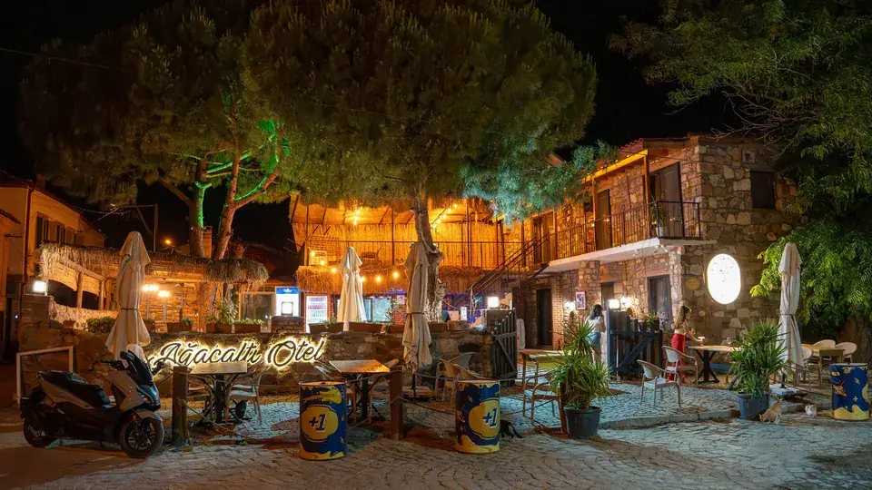 Ağaçaltı gece